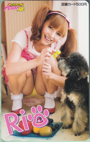 Rio ヤングアニマル嵐 図書カード