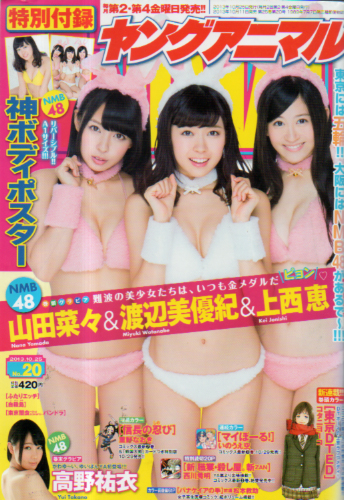  ヤングアニマル 2013年10月25日号 (No.20) 雑誌