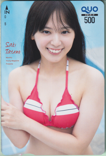 立野沙紀 月刊ヤングマガジン 2020年10月号 クオカード