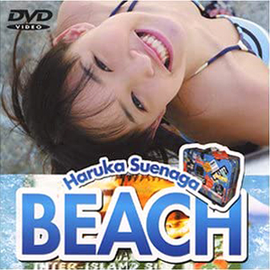 末永遥 BEACH DVD