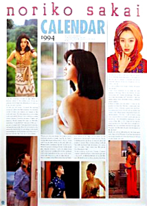 酒井法子 1994年カレンダー カレンダー