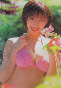 井上和香 和香さま 湯中コンプリートセット その他のグッズ