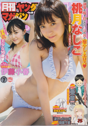  月刊ヤングマガジン 2019年7月号 (No.7) 雑誌